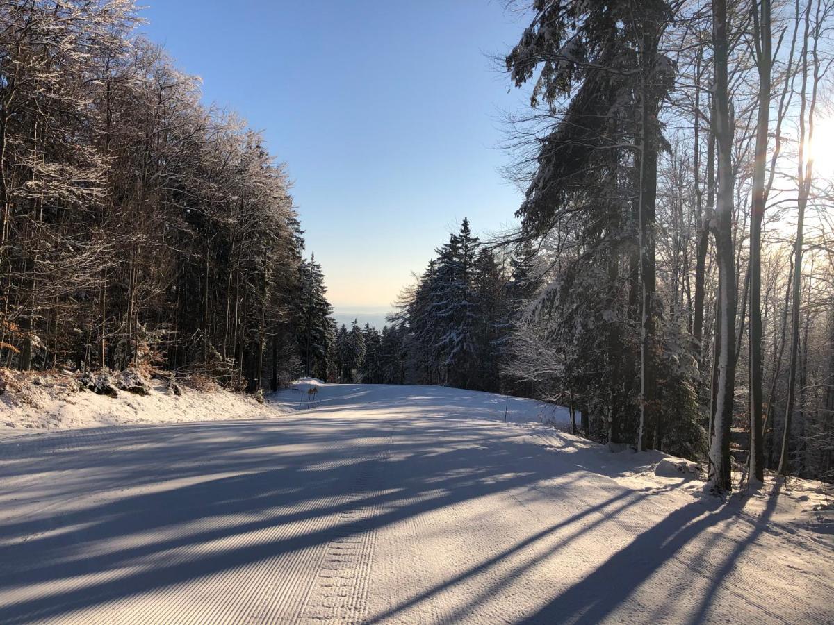 Chalet Anra Pohorje Zgornje Hoce المظهر الخارجي الصورة