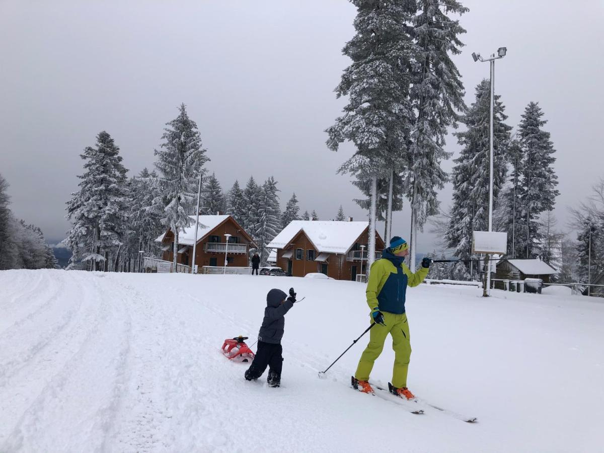 Chalet Anra Pohorje Zgornje Hoce المظهر الخارجي الصورة
