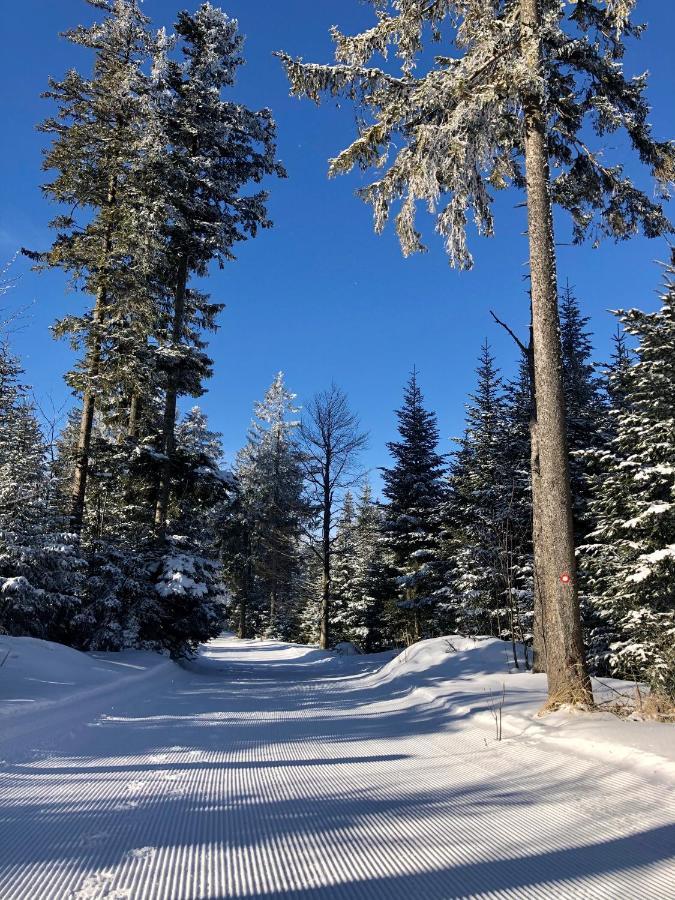 Chalet Anra Pohorje Zgornje Hoce المظهر الخارجي الصورة